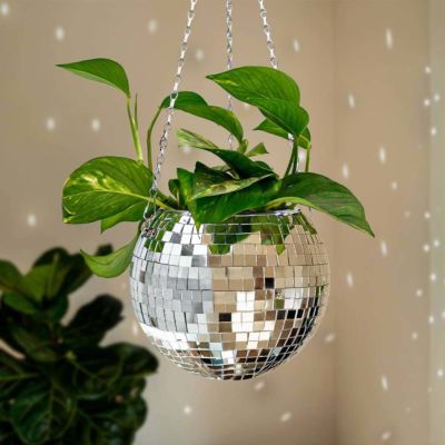 Discokübel