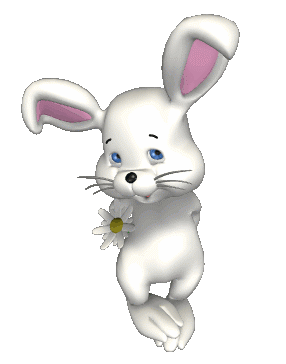 Hase