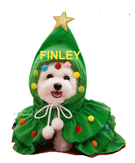 Weihnachtsumhang
