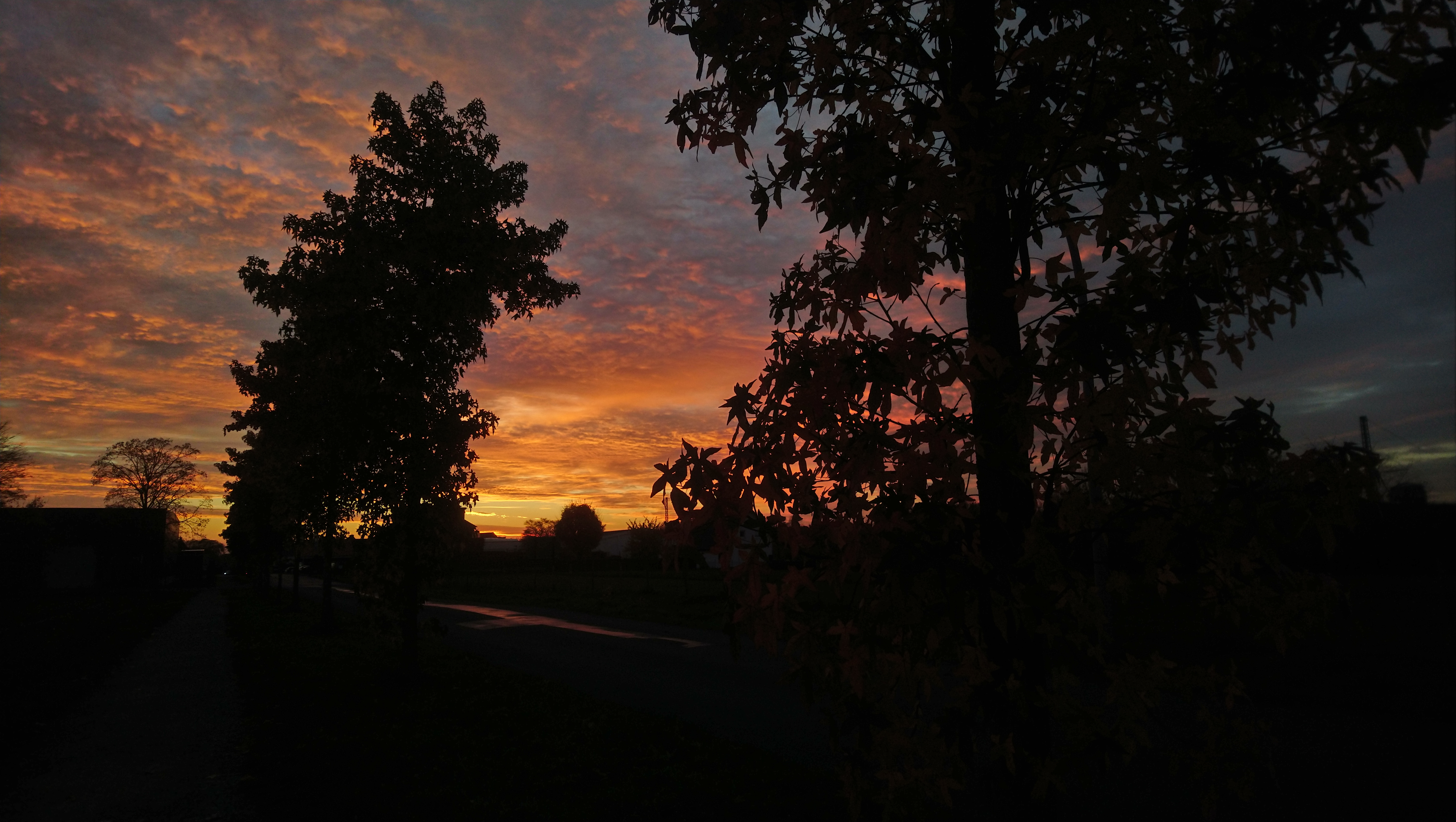 Dies und Das 05.11.2020