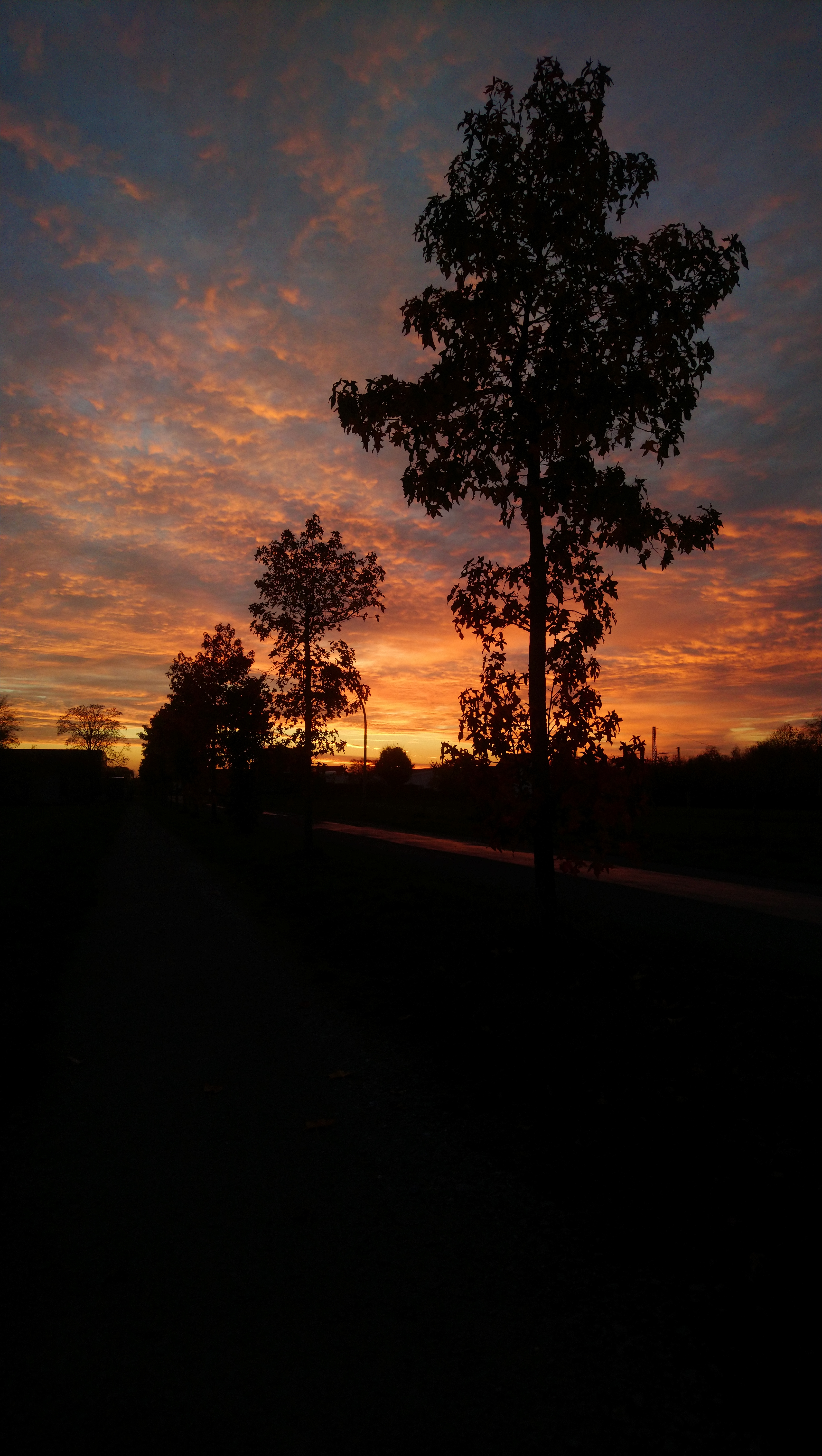 Dies und Das 05.11.2020