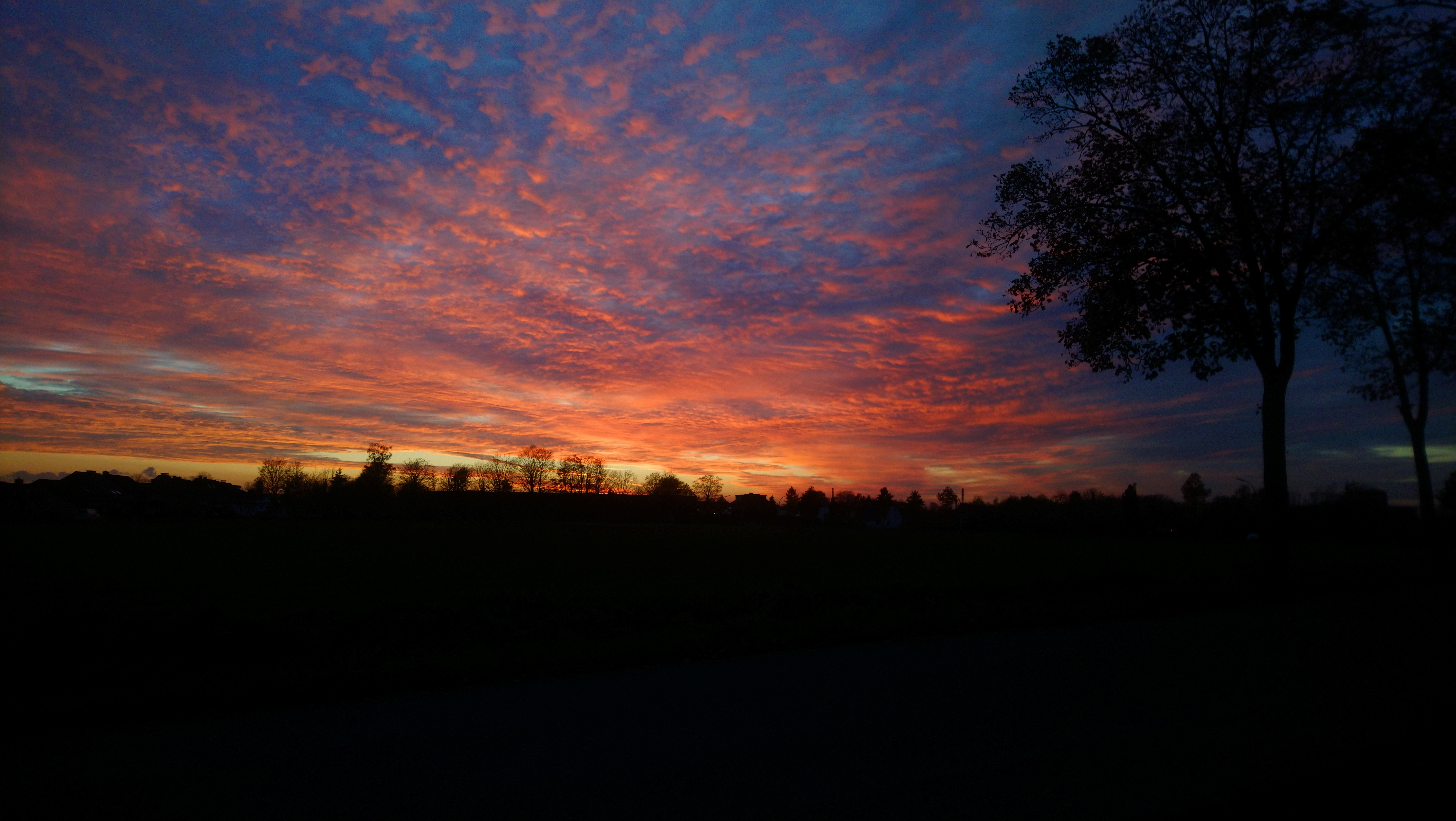 Dies und Das 05.11.2020