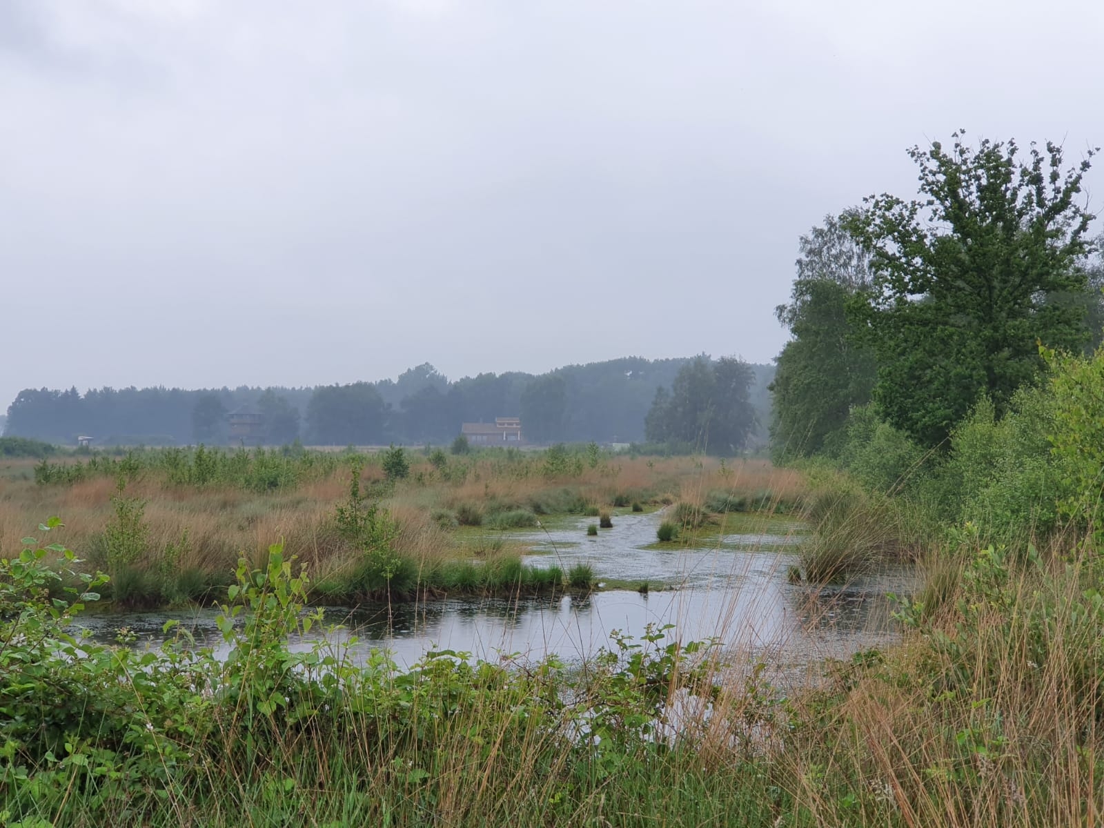 Ohne Titel 17.06.2019