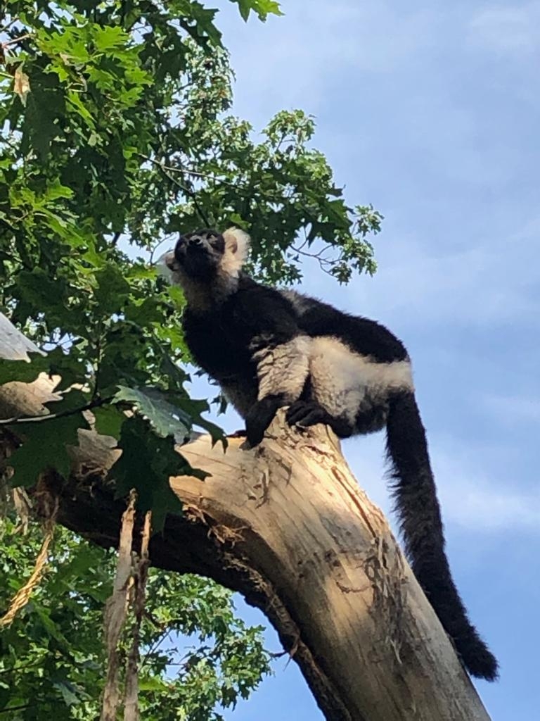 Dies und Das 29.07.2019