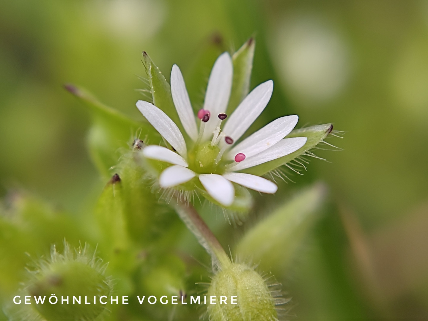 Unterwegs mit dem Smartie 18.03.2024