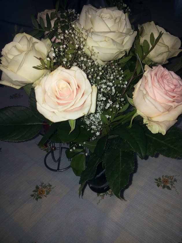 Blumenbilder 10.02.2019