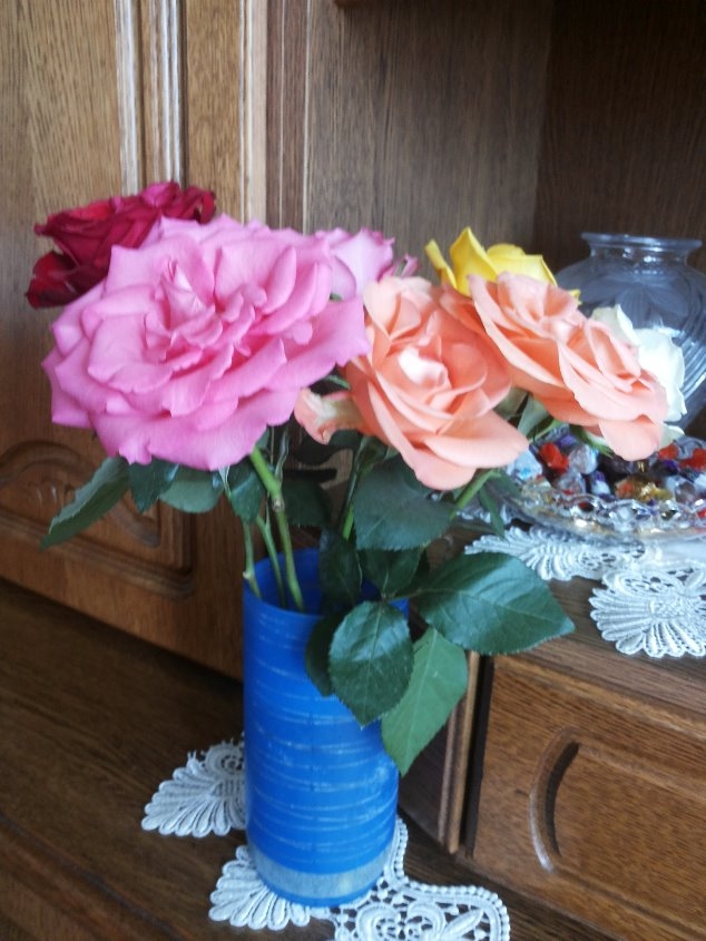 Blumenbilder 10.02.2019