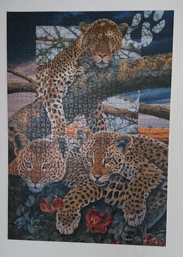 Puzzle  10.02.2019