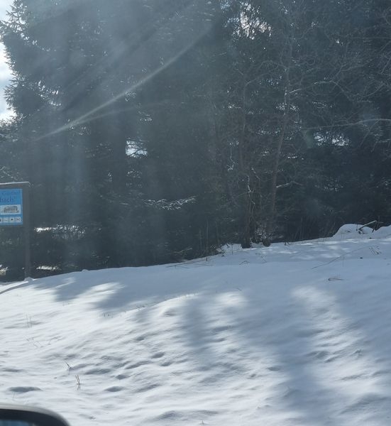 Tagelausflug 28.02.2022