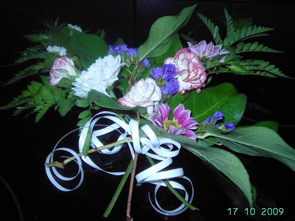 Blumenbilder 09.02.2019
