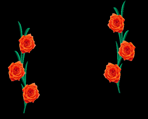 Alles Liebe und ...