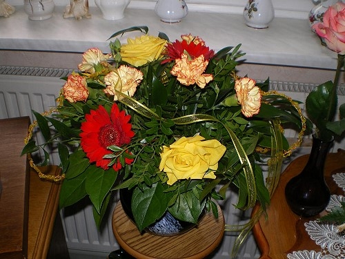 Blumenbilder 08.02.2019