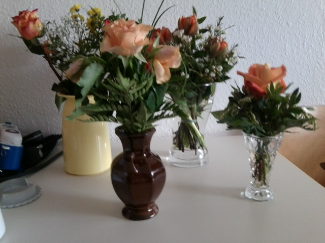 Blumenbilder 08.02.2019