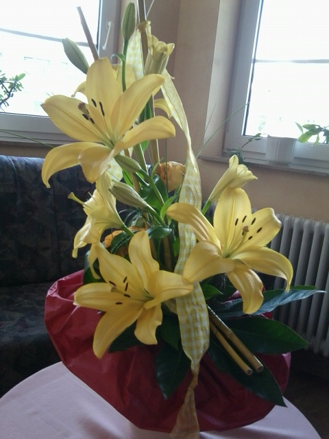 Blumenbilder 06.02.2019