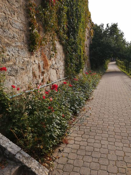 Langenburg zum Dinner Frühstück 21.09.2020