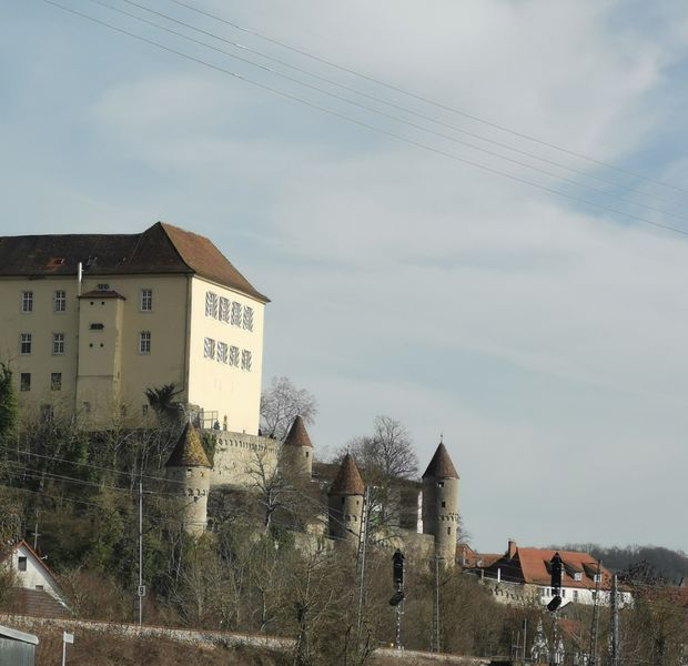 Ohne Titel 20.02.2021