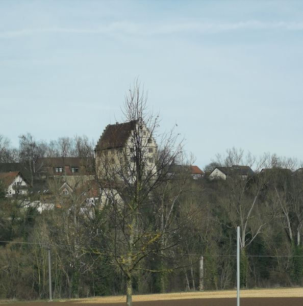 Ohne Titel 20.02.2021
