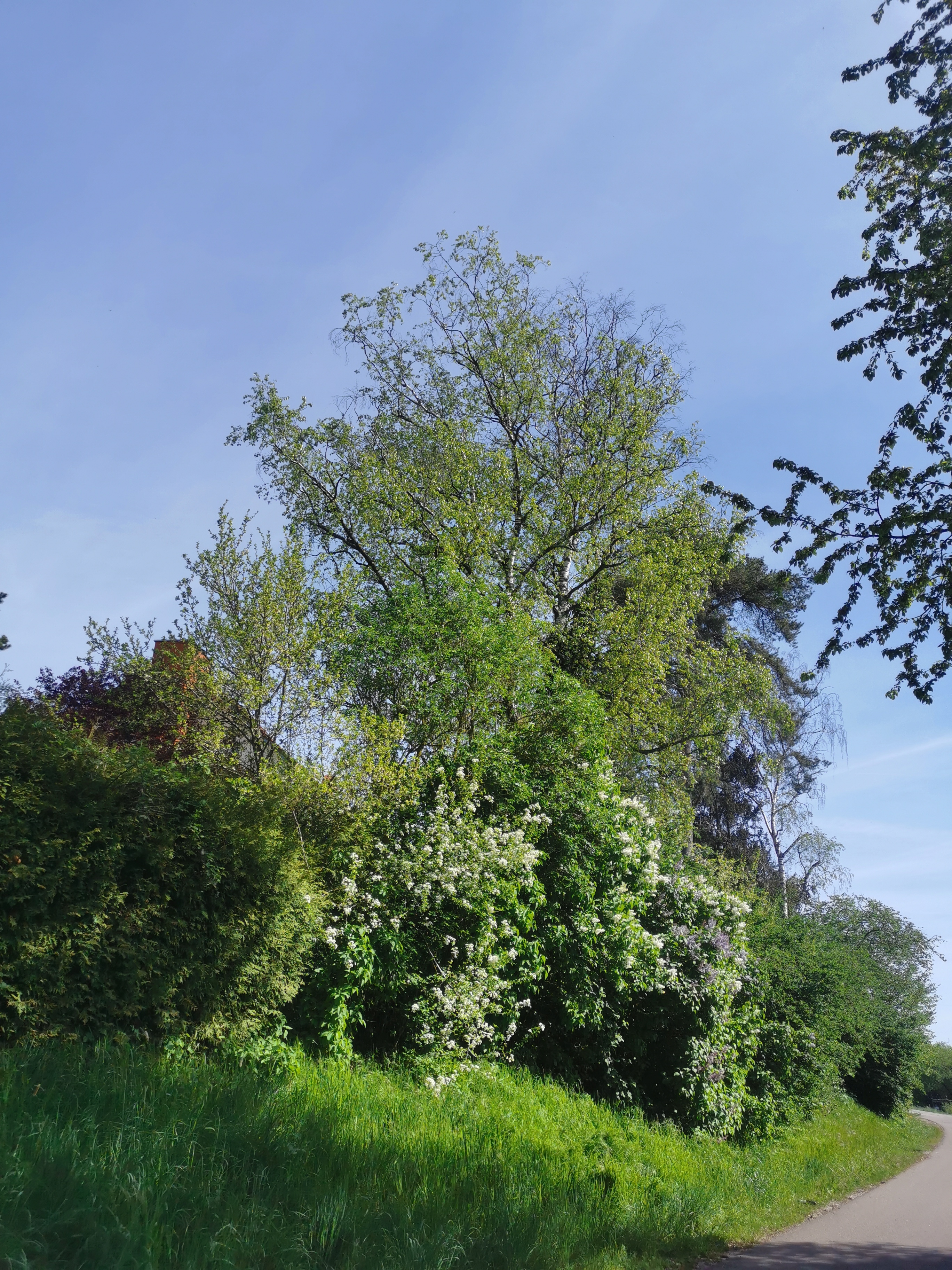 Sparziergang  bei herrlichen Sonnenschein 13.04.2024