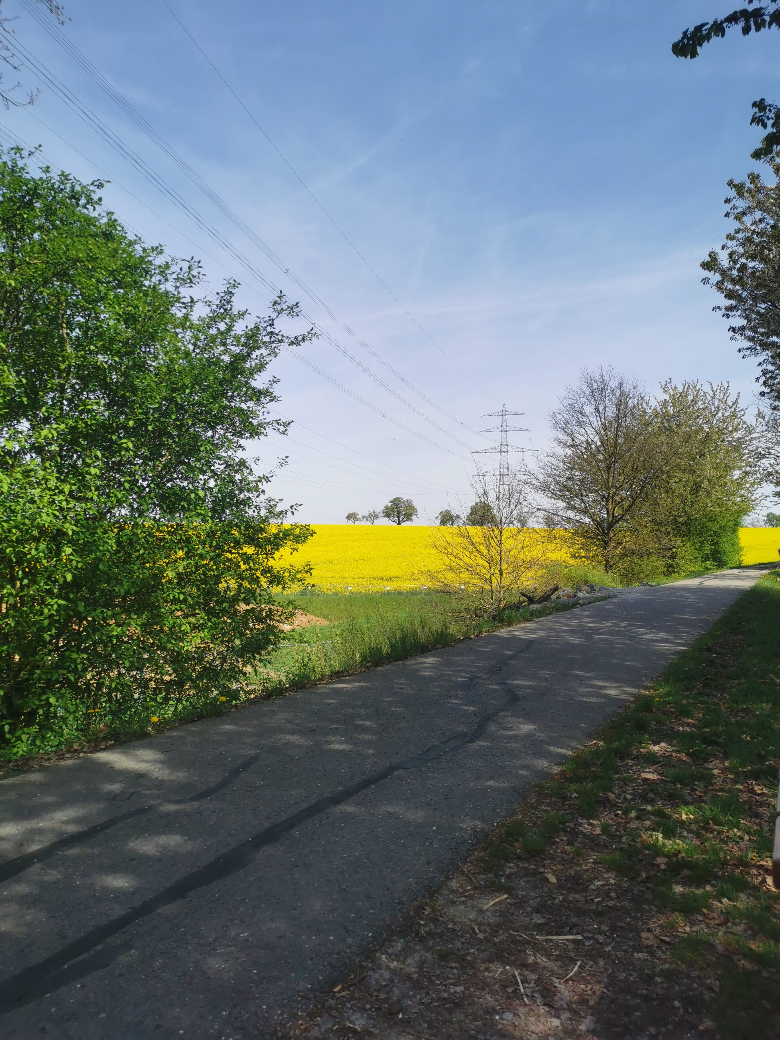 Sparziergang  bei herrlichen Sonnenschein 13.04.2024