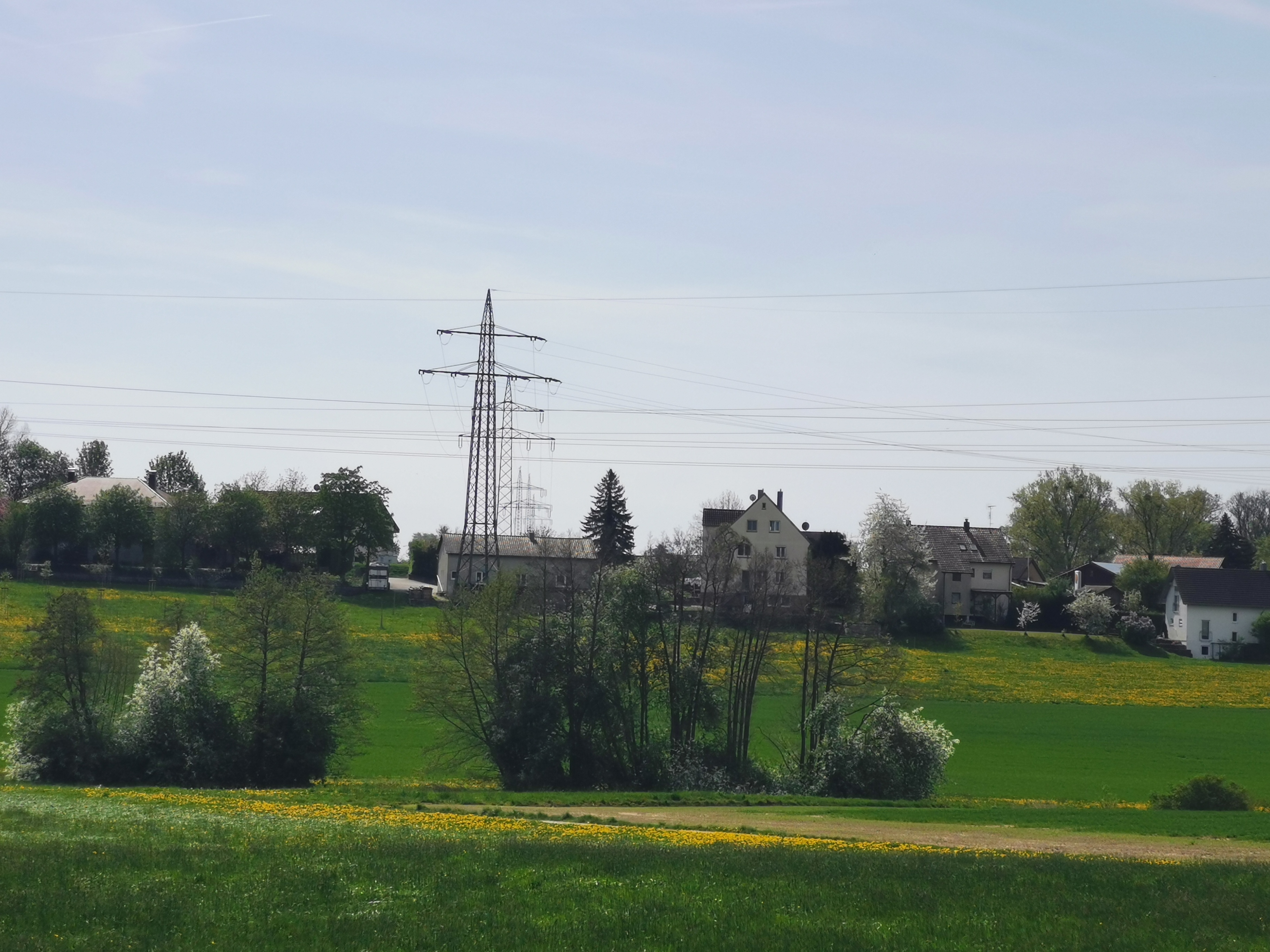 Sparziergang  bei herrlichen Sonnenschein 13.04.2024