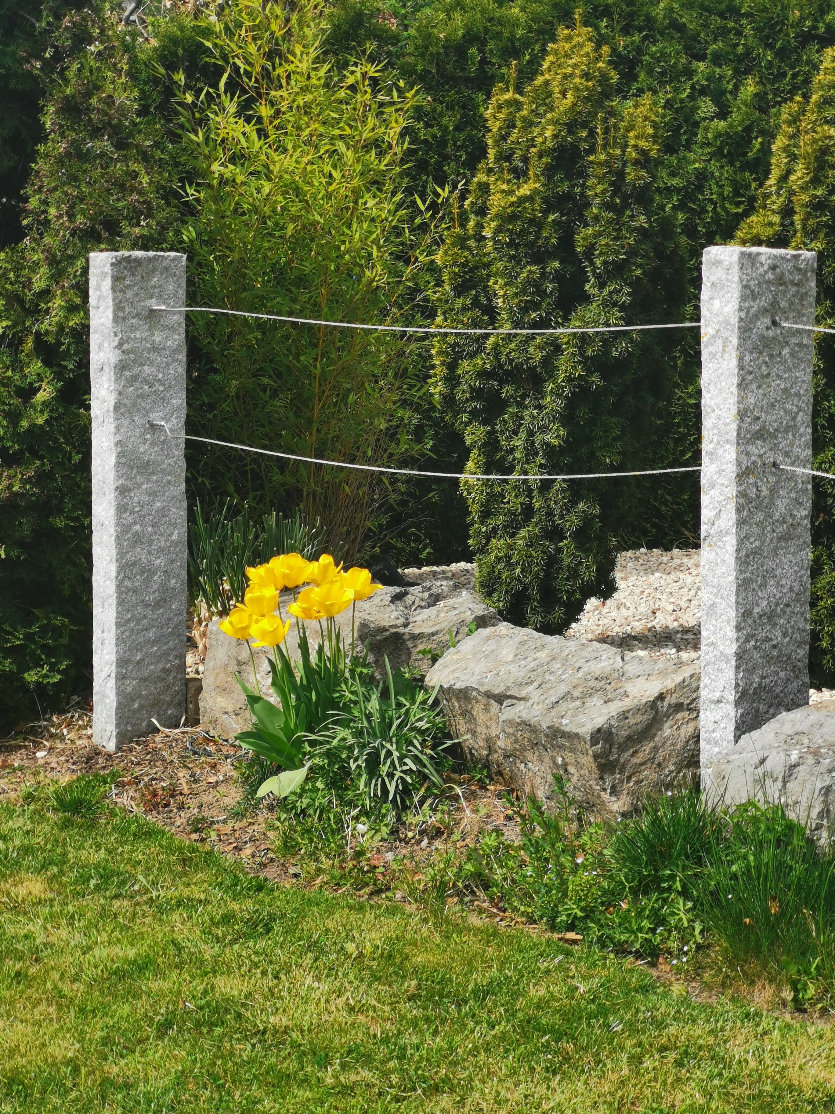 Sparziergang  bei herrlichen Sonnenschein 13.04.2024