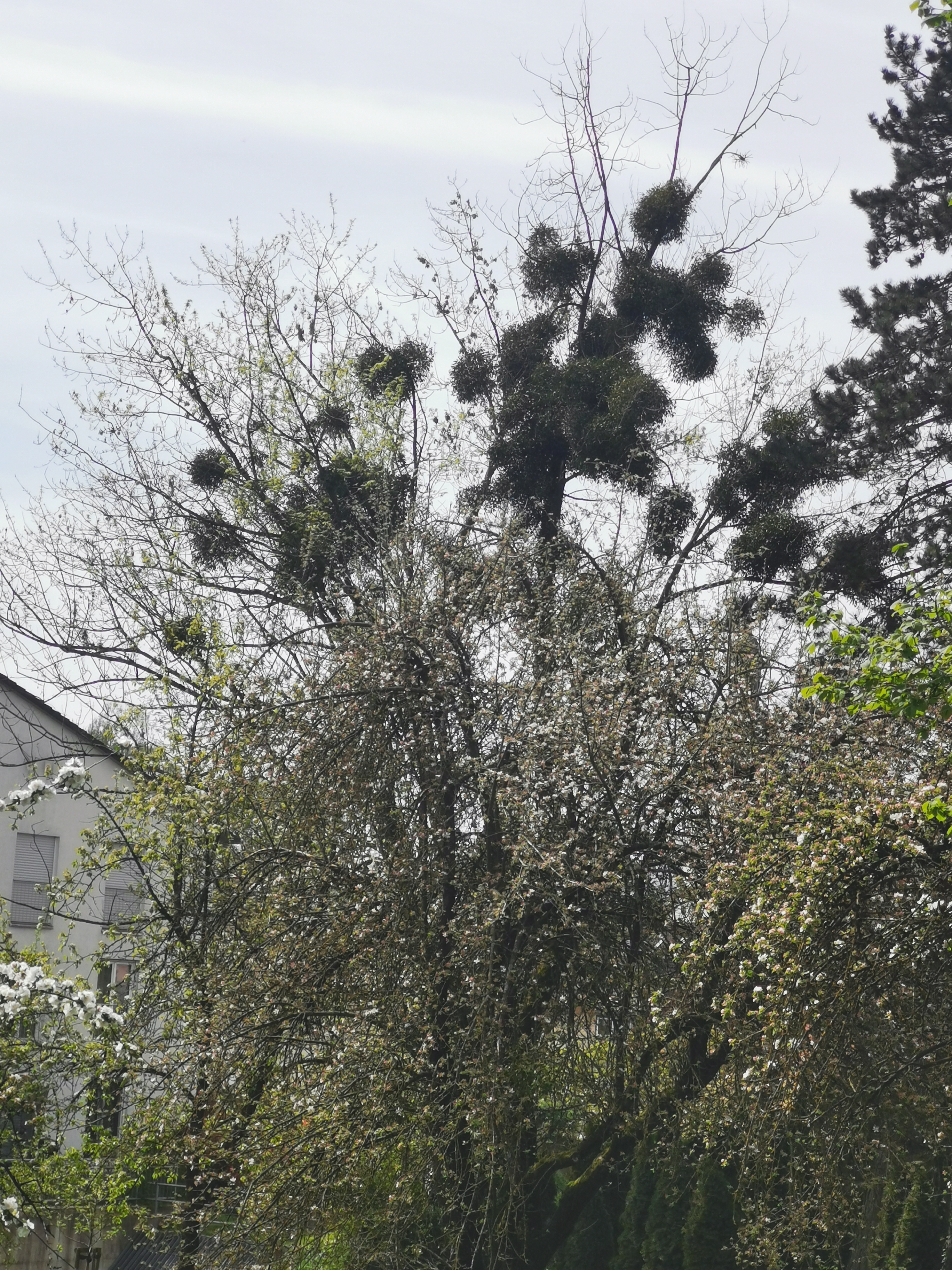 Sparziergang  bei herrlichen Sonnenschein 13.04.2024