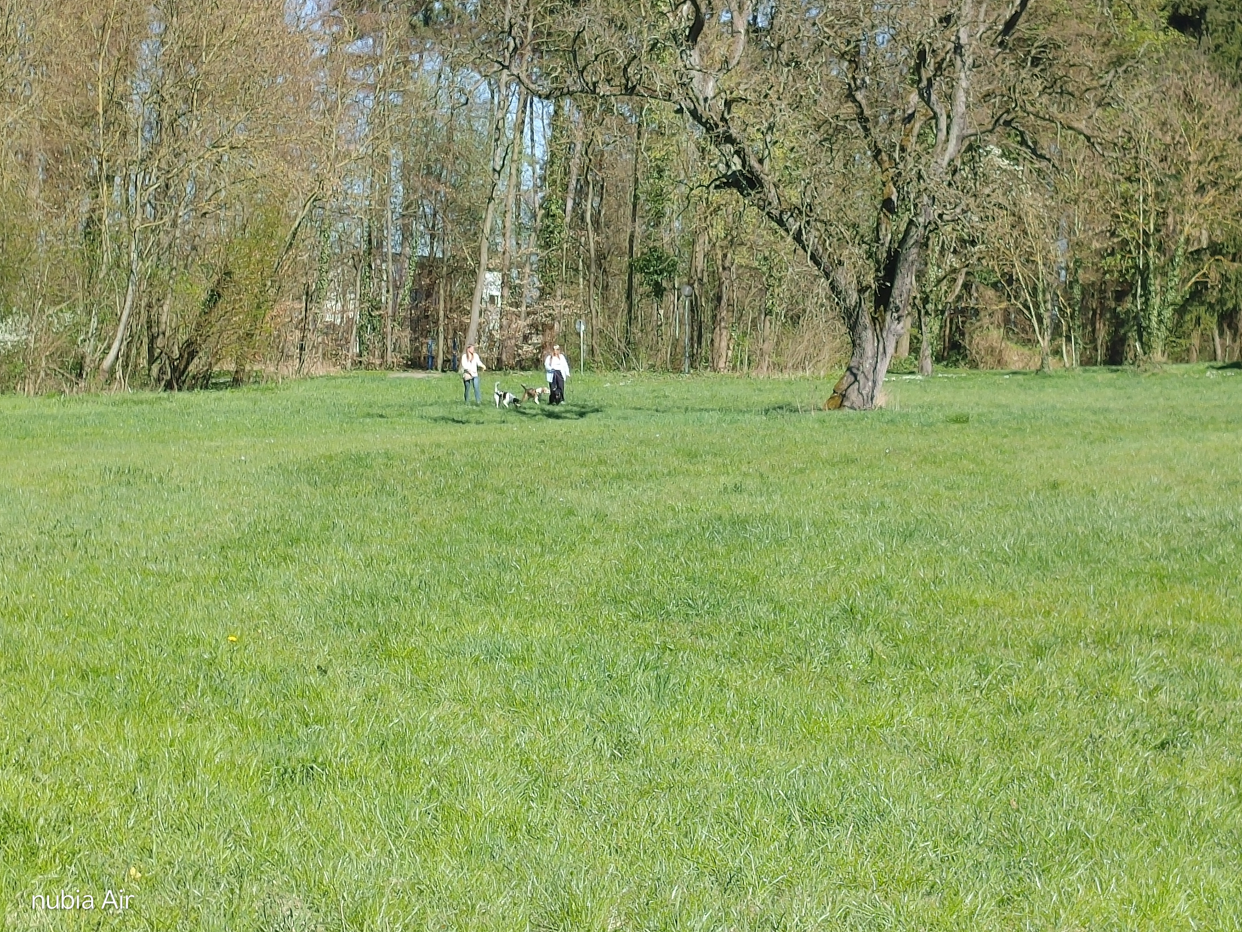 Reha und Cafe  17.04.2026
