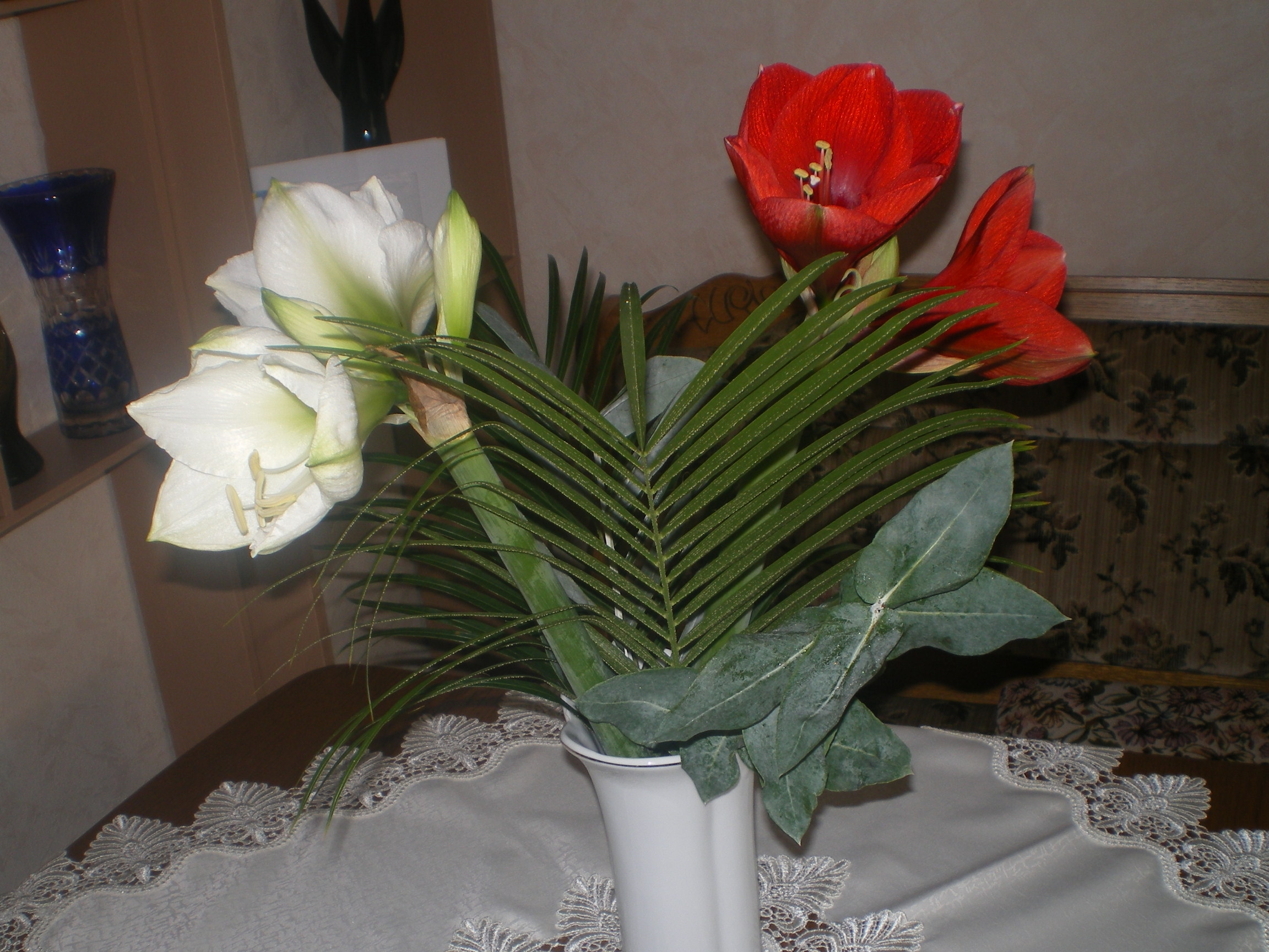 Blumenbilder 09.02.2019