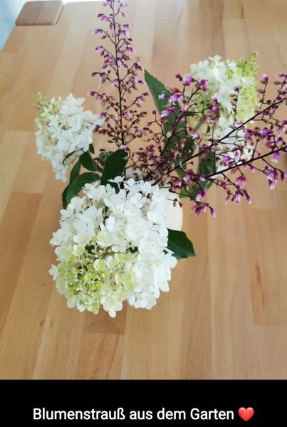 Gartenpflanzen  03.07.2022