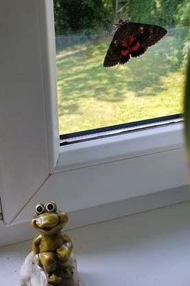 Natürlich tierisch 22.07.2024