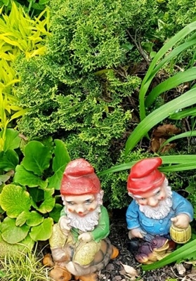 Spaziergang 26.04.2024