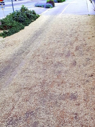 Spaziergang 22.07.2024
