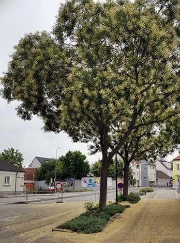 Spaziergang 22.07.2024