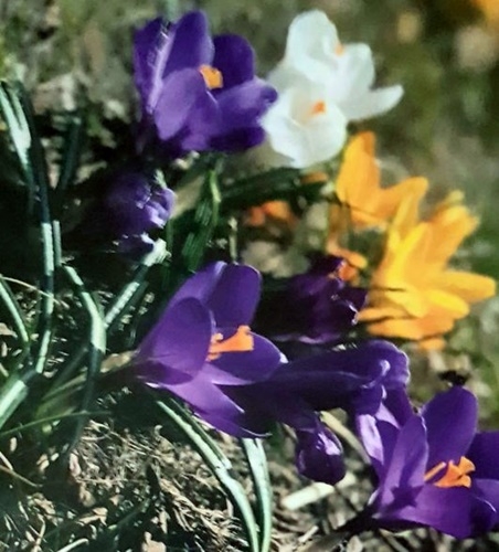 Spaziergang 04.03.2024