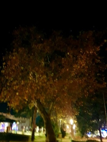 Sonne, Mond und Sterne 08.11.2025