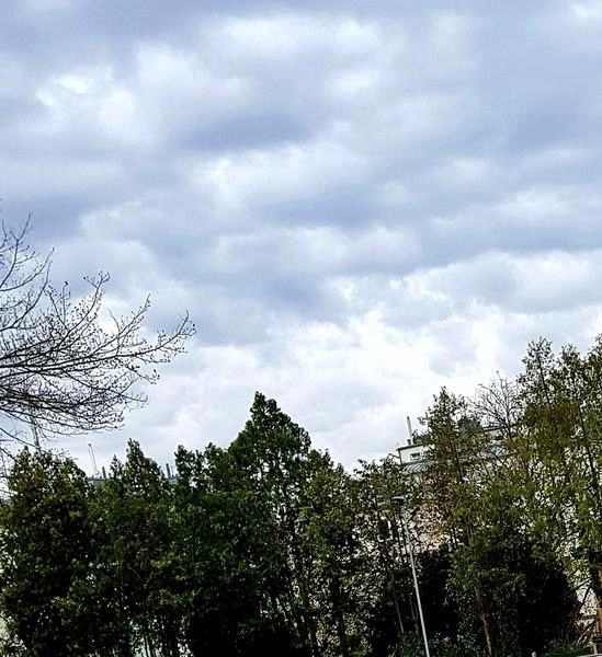 Spaziergang 30.03.2023