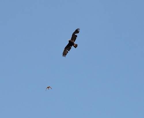 Natürlich tierisch 08.05.2020