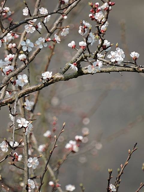 Ohne Titel 08.01.2022