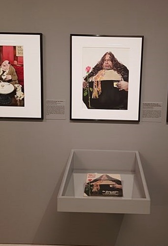 Tagesausflug Krems Karikaturmuseum 21.06.2023