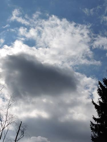 Sonne, Mond und Sterne 06.11.2022