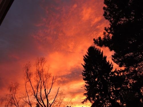 Sonne, Mond und Sterne 06.11.2022