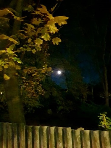 Sonne, Mond und Sterne 08.11.2025