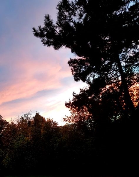 Sonne, Mond und Sterne 06.11.2022