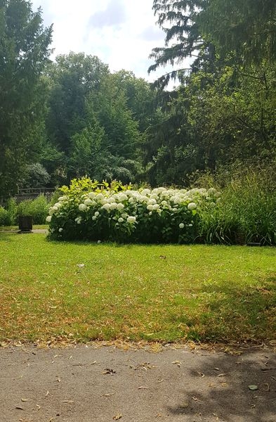 Spaziergang 06.07.2022