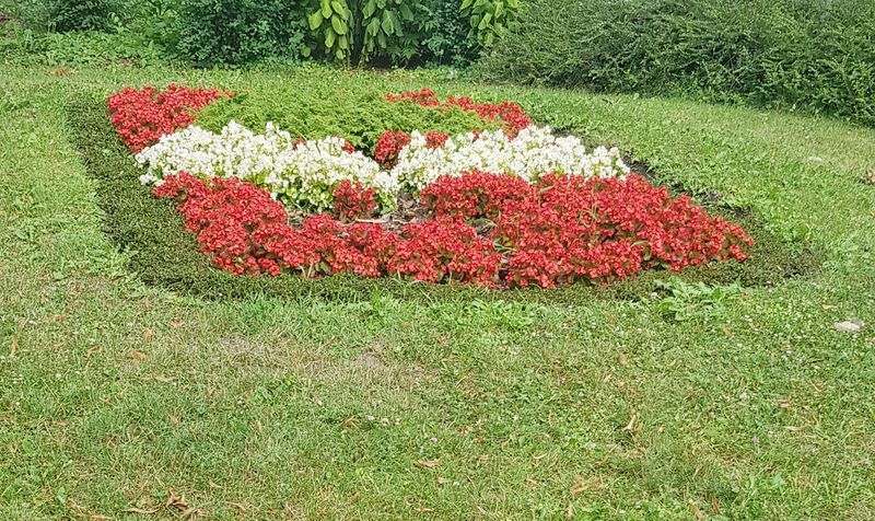 Spaziergang 06.07.2022
