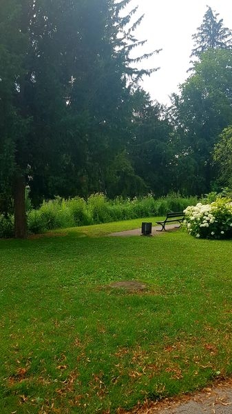 Spaziergang 06.07.2022