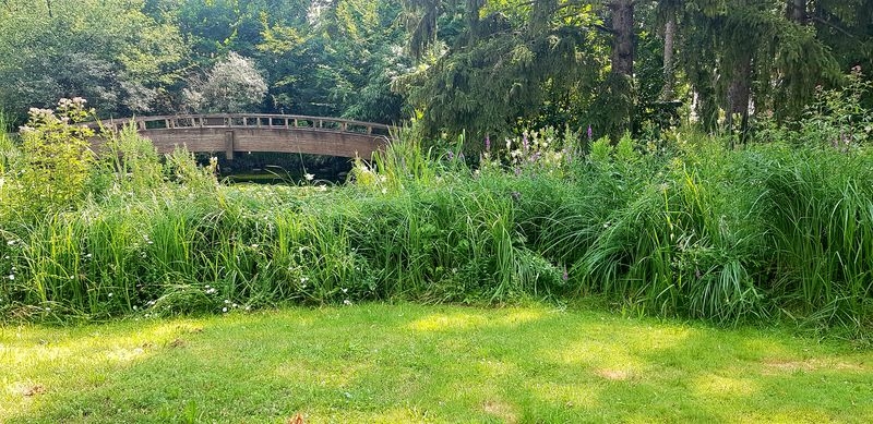 Spaziergang 06.07.2022