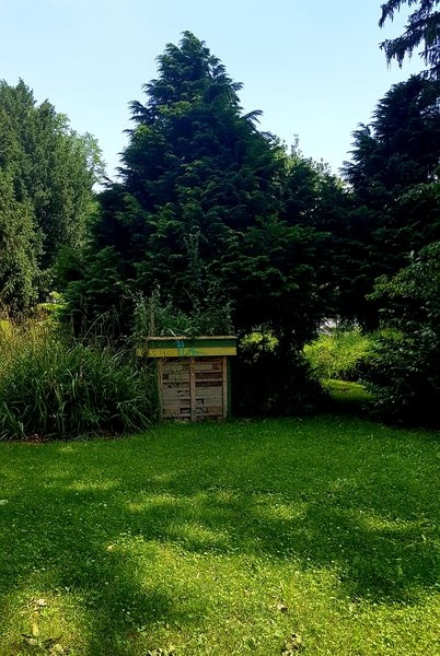Spaziergang 06.07.2022