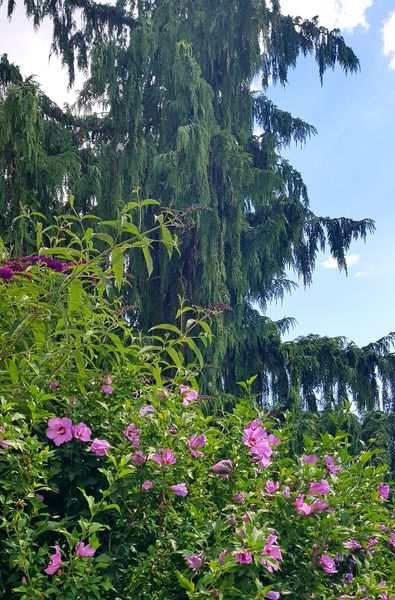 Spaziergang 06.07.2022