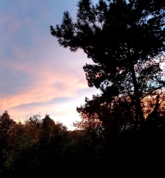 Sonne, Mond und Sterne 06.11.2022